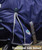 WB ComFiTec Essential Standard Neck, shoulder gusset.